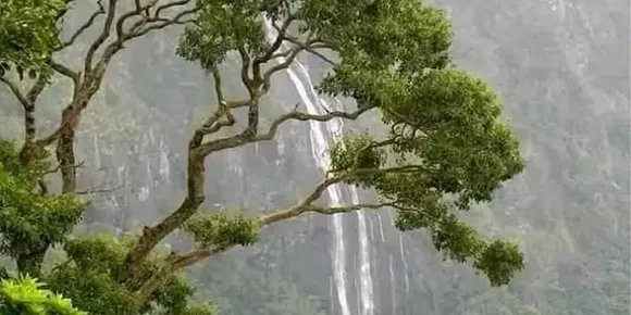 നെല്ലിയാമ്പതി മേഖലയിലേക്ക് വിനോദസഞ്ചാരികളുടെ പ്രവേശനത്തിന് നിരോധനം