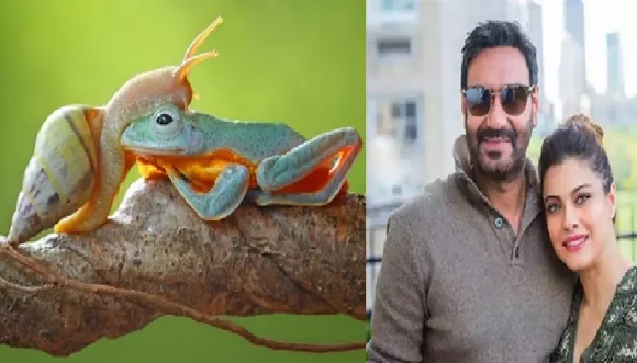 വ്യത്യസ്തമായി പരീക്ഷിച്ചവയില്‍ ഏറെയിഷ്ടം ഒച്ചുകറി ; തവളയുടെ കാര്യം പിന്നെ പറയുകയെ വേണ്ട ; ഇഷ്ടഭക്ഷണങ്ങളെ കുറിച്ച് കാജോളും അജയ് ദേവ്ഗണും പറയുന്നു