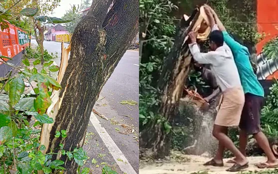 പാലക്കാട്‌-കോഴിക്കോട് ദേശീയ പാതയില്‍ വാഹനം ഇടിച്ചതിനെ തുടര്‍ന്ന് അപകടാവസ്ഥയില്‍ നിന്നിരുന്ന മരം അടിയന്തിരമായി മുറിച്ചു മാറ്റി