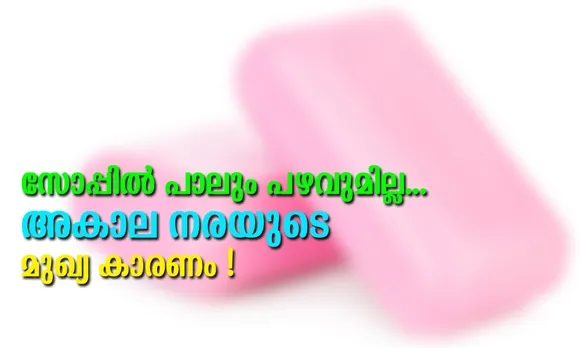 സോപ്പിൽ എന്തൊക്കെയുണ്ടെന്ന് അതിൻ്റെ പുറത്ത് എഴുതി വച്ചിട്ടുണ്ട്. അതെല്ലാം രാസവസ്തുക്കളാണ്. സോപ്പിൽ പാലും പഴവുമില്ല... അകാലനരയുടെ മുഖ്യകാരണം സോപ്പിലെ രാസവസ്തുക്കള്‍ തന്നെ (ലേഖനം)