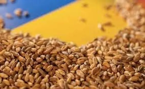 യുക്രെയ്നില്‍നിന്നുള്ള ധാന്യ കയറ്റുമതി നിലച്ചു