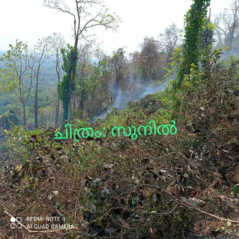 പാലാ വലവൂരിൽ കൃഷിയിടത്തിൽ തീപ്പിടിച്ചു; നാലേക്കര്‍ കപ്പത്തോട്ടം കത്തി നശിച്ചു