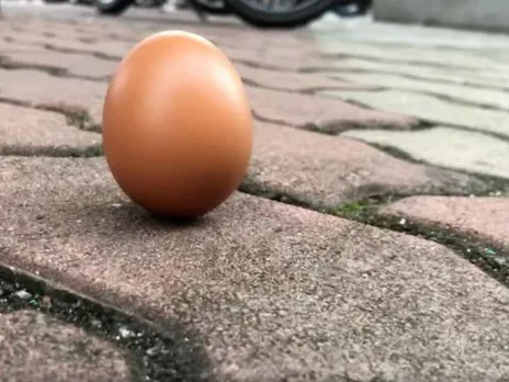 സൂര്യഗ്രഹണവും കോഴിമുട്ടയും : ഈ വാർത്ത ശുദ്ധ അസംബന്ധമാണ് !!