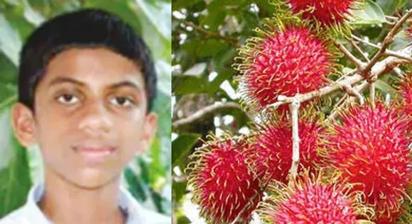 നിപ വൈറസ് ബാധിച്ച് മരിച്ച 12 വയസുകാരന്റെ രോ​ഗ ഉറവിടം റമ്പൂട്ടാനിൽ നിന്നെന്ന് പ്രാഥമിക നി​ഗമനം; ഇക്കാര്യം കേന്ദ്രസംഘം അറിയിച്ചതായി മന്ത്രി എ കെ ശശീന്ദ്രൻ