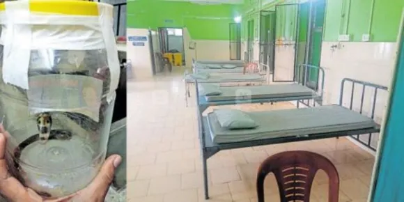 പെരിന്തൽമണ്ണ ജില്ലാ ആശുപത്രിയിൽ കണ്ടെത്തിയത് എട്ട് മൂർഖൻ കുഞ്ഞുങ്ങളെ; സർജിക്കൽ വാർഡ് അടച്ച് ആശുപത്രി അധികൃതർ