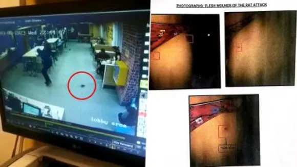 മക്ഡൊൾഡ്സിൽ ഭക്ഷണം കഴിച്ചുകൊണ്ടിരിക്കെ എട്ട്​ വയസുകാരനെ എലി കടിച്ചു; സംഭവത്തിന്റെ ദൃശ്യങ്ങൾ പുറത്ത്