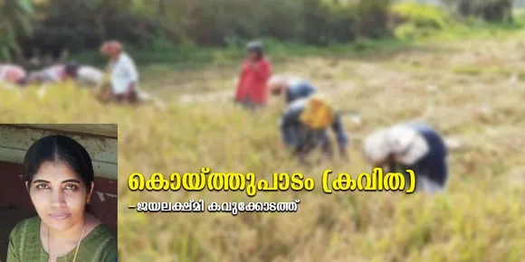 കൊയ്ത്തുപാടം (കവിത)