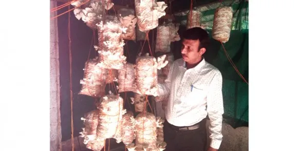 കൂൺകൃഷിയിൽ പരിശീലനം നല്കുന്നതിനോടൊപ്പം കൂൺ വിഭവങ്ങളും പഠിപ്പിച്ച് തരും വെഞ്ഞാറമൂട് സ്വദേശി അജയ്‌