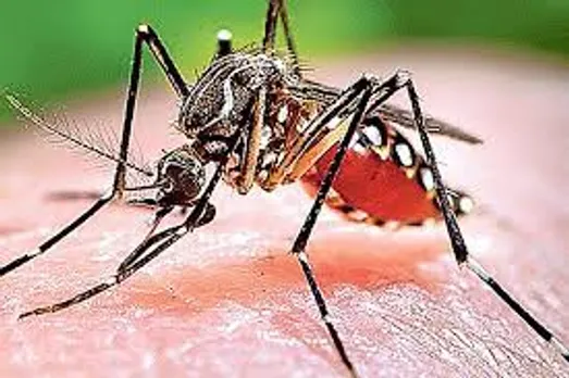 ജപ്പാന്‍ ജ്വരം; ലക്ഷണങ്ങള്‍ ശ്രദ്ധിക്കുക