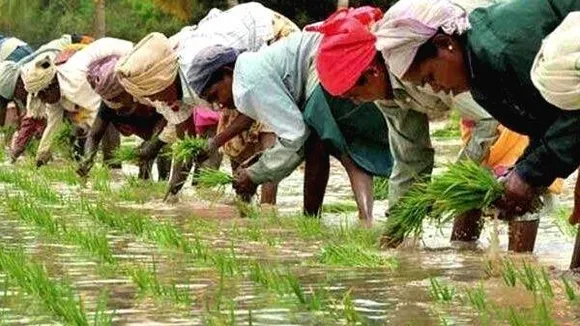 ചാത്തന്നൂർ ചിറക്കര കൃഷിഭവനിലെ കർഷകദിനം; പുരസ്ക്കാരങ്ങൾക്ക് അപേക്ഷിക്കാം