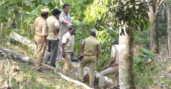 അടിമാലി റേഞ്ച് പരിധിയിൽ നിന്ന് തേക്കിനൊപ്പം ഈട്ടി തടിയും വെട്ടി കടത്തി; നടന്നത് ലക്ഷങ്ങളുടെ മരംകൊള്ള