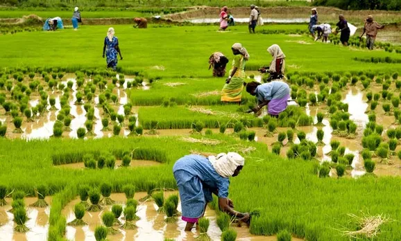 പിഎം കിസാൻ ഗുണഭോക്താക്കളായ കർഷകർ ജൂലൈ 31 നകം വിവരങ്ങൾ ഓൺലൈൻ പോർട്ടലിൽ നൽകണം
