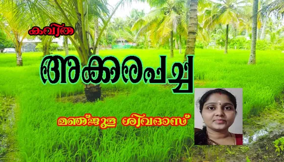 കവിത "അക്കരപച്ച" മഞ്ജുള ശിവദാസ്‌.