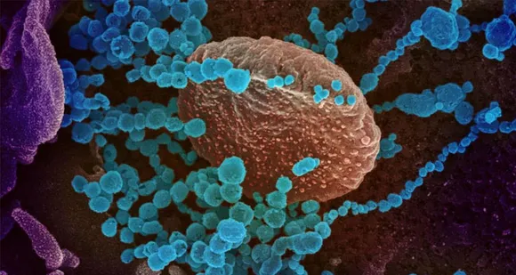 ന്യൂജഴ്‌സിയില്‍ പുതുവര്‍ഷദിനത്തില്‍ കോവിഡ് മരണം 119, 5541 പേര്‍ക്ക് രോഗം സ്ഥിരീകരിച്ചു