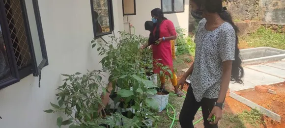 കുറവിലങ്ങാട് ദേവമാതാ കോളേജ് എൻഎസ്എസ് യൂണിറ്റിന്റെ നേതൃത്വത്തിൽ വിളവെടുപ്പ് ഉത്സവം നടത്തി