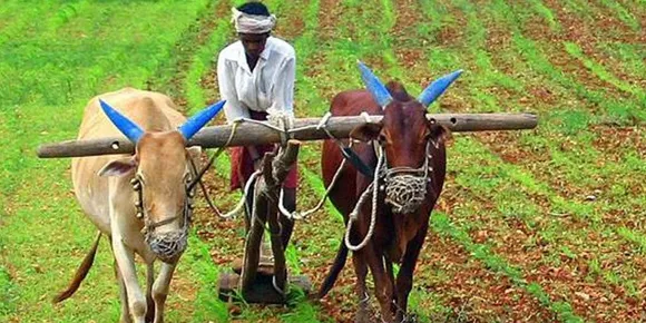 കര്‍ഷകര്‍ക്ക് ഇനി കാലാവസ്ഥാ പ്രവചനം പ്രാദേശിക ഭാഷകളില്‍ എസ്‌എംഎസിലൂടെ ലഭിക്കും
