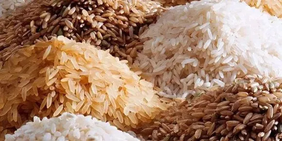 ദിനംപ്രതി അരി വില കുതിച്ചുയരുന്നു; രണ്ടു മാസത്തിനിടെ,വില ശരാശരി 12 രൂപയിലധികം ഉയര്‍ന്നു