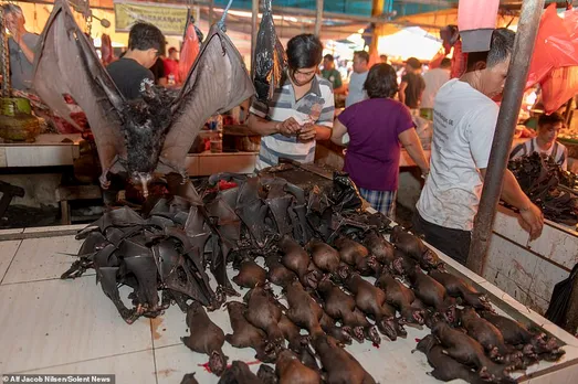 മനുഷ്യനെ അപകടത്തിലേക്ക് നയിക്കുന്ന ചൈനയുടെ വെറ്റ് മാര്‍ക്കറ്റുകള്‍ അടച്ചുപൂട്ടണമെന്ന് അമേരിക്കന്‍ സെനറ്റര്‍മാര്‍