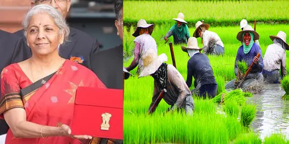 ബജറ്റ് 2023; കൃഷിക്ക് ഡിജിറ്റൽ പ്ലാറ്റ്‌ഫോം; ഇന്ത്യയെ മില്ലറ്റ് ഹബ്ബാക്കും