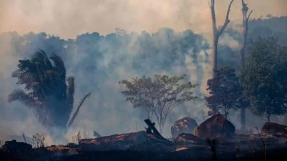 ആമസോൺ കാടുകൾക്കു തീയിട്ടതാര് ? എന്തിന് ?