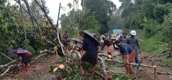 വേനല്‍മഴയില്‍ ഓട്ടോറിക്ഷയ്ക്ക് മുകളിലേക്ക് മരം ഒടിഞ്ഞുവീണു; യാത്രക്കാർ രക്ഷപ്പെട്ടത് തലനാരിഴയ്ക്ക്