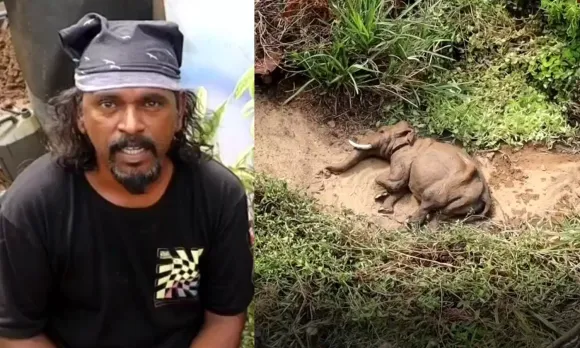 അരിക്കൊമ്പനെ കളിമണ്ണിൽ തീർത്ത് ഡാവിഞ്ചി സുരേഷ്; ചിത്രം വെെറൽ