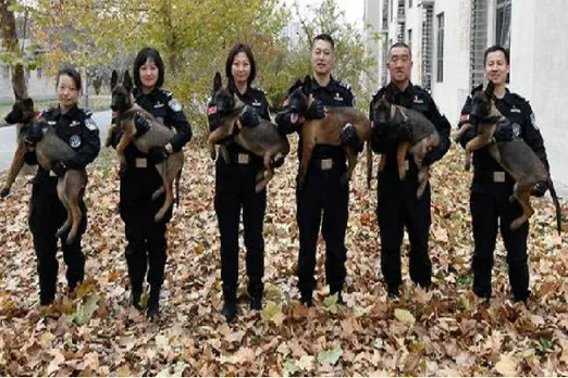 ലോകത്താദ്യമായി 6 ക്ളോൺ നായകളെ ഒരുമിച്ചു പോലീസ് സേനയിൽ ചേർത്തു