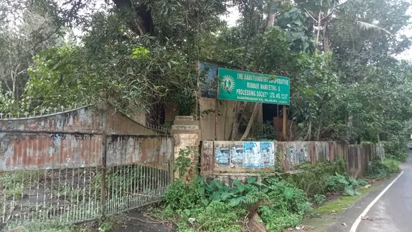 കേരളാ റബർ ലിമിറ്റഡിന്റെ മിനി റബർ പാർക്ക് പാലകരയിൽ സ്ഥാപിക്കണം:  പിഎൽസി സമരസമതി