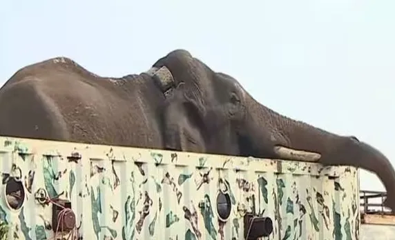 അരിക്കൊമ്പന്റെ ആരോഗ്യനില തൃപ്തികരമല്ല; ആനയെ തുറന്നു വിടാനാകില്ലെന്ന് വനംവകുപ്പ്