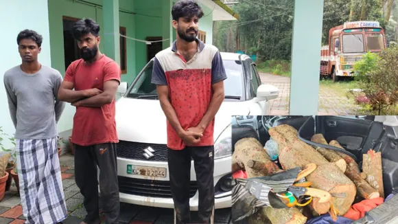 വയനാട് ചുണ്ടേലിൽ 400 കിലോയോളം ചന്ദനവുമായി മൂന്ന് പേർ പിടിയിൽ; ഒരാൾ ഓടി രക്ഷപ്പെട്ടു, പ്രതിക്കായി അന്വേഷണം ആരംഭിച്ച് പോലീസ്