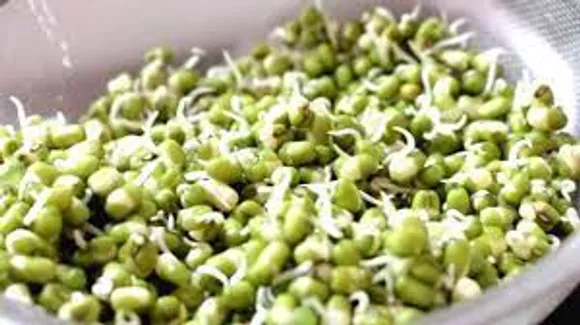 മുളപ്പിച്ച പയർ വർഗങ്ങള്‍ കഴിക്കുന്നത് ശരീരഭാരം കുറയ്ക്കാൻ സഹായിക്കുമെന്ന് ചില പഠനങ്ങൾ