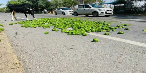 പഞ്ചാബിൽ ക്യാപ്സിക്കം കർഷകരുടെ പ്രതിഷേധം ശക്തമാകുന്നു ; കിലോയ്ക്ക് ഒരു രൂപ മാത്രം വില