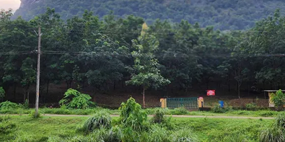 കോഴിക്കോട് - പാലക്കാട് ഗ്രീൻഫീൽഡ് ദേശീയപാത; മതിയായ നഷ്ടപരിഹാരം വേണം; പുനരധിവാസ പാക്കേജ് ചർച്ച കളക്ടറുടെ ചേമ്പറിൽ ജൂൺ 30ന്