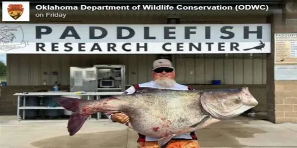 118 പൗണ്ട് കരിമീൻ, ഒക്ലഹോമ റെക്കോർഡ് തകർത്തു