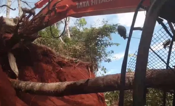 കാസര്‍കോട്‌ മണ്ണുമാന്തി യന്ത്രത്തിന് മുകളിൽ തെങ്ങ് വീണു; ഓപ്പറേറ്റര്‍ക്ക് ദാരുണാന്ത്യം