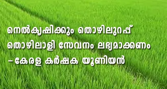 നെൽകൃഷിക്കും തൊഴിലുറപ്പ് തൊഴിലാളി സേവനം ലഭ്യമാക്കണം- കർഷക യൂണിയൻ