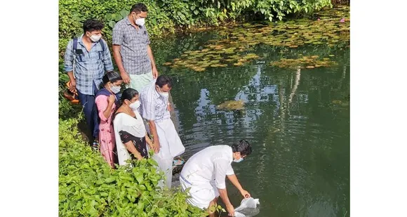 ഉഴവൂർ ഗ്രാമപഞ്ചായത്തിലെ പൊതു കുളങ്ങളിൽ മത്സ്യനിക്ഷേപം നടത്തി
