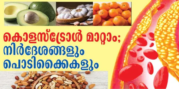 അ​രി, ഗോ​ത​മ്പ്, കി​ഴ​ങ്ങു​വ​ർ​ഗ്ഗ​ങ്ങ​ൾ അമിതമായി കഴിക്കുന്നവരോണോ? ചുമ്മാതിരുന്നാലും കൊളസ്ട്രോൾ ഉണ്ടാവും…