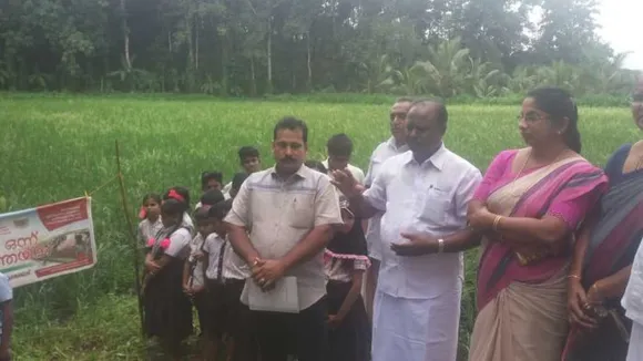 'പാഠം ഒന്ന്‌ എല്ലാവരും പാടത്തേയ്‌ക്ക്‌' പദ്ധതി അഞ്ചിരി പാടശേഖരത്ത്‌ നടന്നു