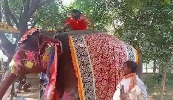 ആനപ്പുറത്ത് ഇരുന്ന യോഗ ചെയ്യുന്നതിനിടെ താഴേക്ക് വീണ് ബാബാ രാംദേവ്; വീഡിയോ