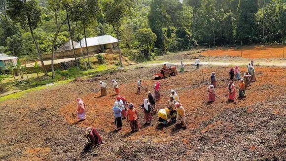 നയം വ്യക്തമാക്കാതെ നെയ്യശ്ശേരി, പിടി തരാതെ പള്ളിക്കാമുറി; കരിമണ്ണൂരിന്റെ പ്രാദേശിക രാഷ്ട്രീയം !