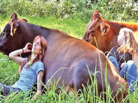 പശുക്കളുമായി ശയിച്ചു റിലാക്‌സ് ചെയ്യാന്‍ മണിക്കൂറിനു 5200 രൂപ ഫീസ്. ജീവിത സംഘർഷങ്ങളിൽ   അയവുവരുത്താന്‍ യൂറോപ്പില്‍ പ്രചരിക്കുന്ന ആധുനിക രീതിക്ക് പേര് 'COW CUDDLING' !  ആര്‍ എസ് എസിനെ കുറ്റം പറയും മുന്‍പ് പശുവിന്‍റെ ഈ ഗുണങ്ങള്‍ അറിയുക