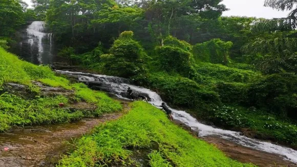 പ്രകൃതി സഹവാസ ക്യാമ്പ് ഡിസംബർ അവസാന വാരം