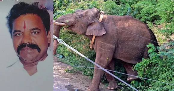 അരികൊമ്പന്റെ കമ്പം നഗരത്തിലെ പരാക്രമം, ആന  ബൈക്കിൽ നിന്നും തട്ടിയിട്ടയാൾ മരണമടഞ്ഞു