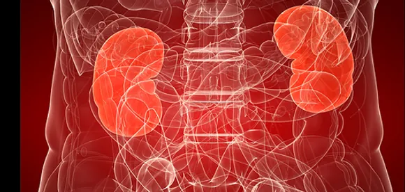 വൃക്കയെ ബാധിക്കുന്ന അസുഖങ്ങളെ അകറ്റി നിർത്താം ചെയ്യേണ്ടത്  ഇത്രമാത്രം...