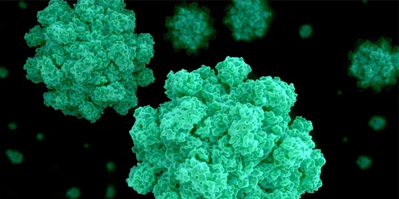 വിഴിഞ്ഞത്ത് ഭക്ഷ്യവിഷബാധയേറ്റ വിദ്യാര്‍ത്ഥികളില്‍ രണ്ട് പേരില്‍ നോറോ വൈറസ്; ഇന്ന് 5 കുട്ടികള്‍ കൂടി അസ്വസ്ഥകതകളുമായി ചികിത്സ തേടി