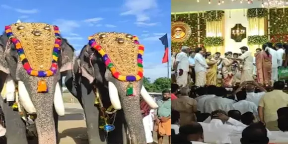 തമിഴ്‌നാട് മന്ത്രിയുടെ മകന്റെ വിവാഹത്തിന് കേരളത്തിൽ നിന്ന് ആനകൾ; ആനകളെ എത്തിച്ചത് ഗജപൂജയ്‌ക്കെന്ന വ്യാജേനെ