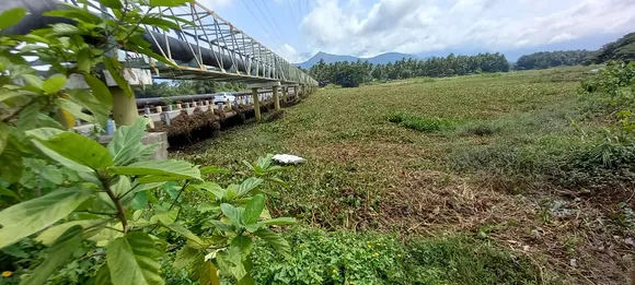 മഴ കുറഞ്ഞതോടെ മലമ്പുഴ മുക്കെ പുഴയിലെ ജലനിരപ്പ് താഴ്ന്നു. കര്‍ഷകര്‍ ആശങ്കയില്‍