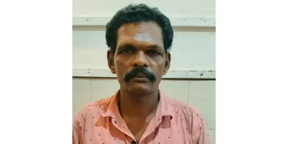 പാലായില്‍ വീട്ടമ്മയെ ആക്രമിച്ച കേസിൽ ഒരാൾ പിടിയിൽ