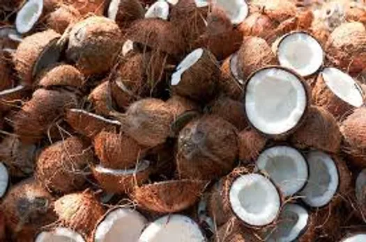 താങ്ങുവില പ്രഖ്യാപിച്ചിട്ടും​ കേര ഫെഡിന്റെ ശേഷിക്കുറവ് മൂലം നാളികേര കർഷകർക്ക് പ്രയോജനപ്പെടുന്നില്ല